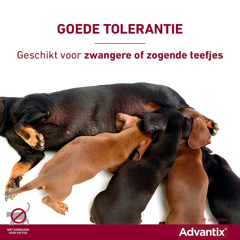 Advantix vlooienmiddel hond