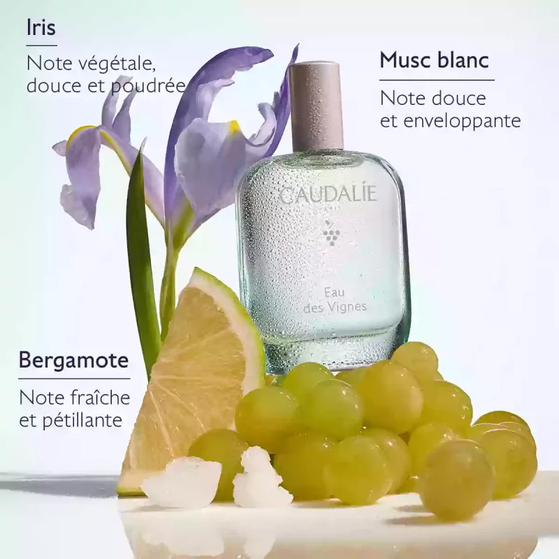 Eau Fraîche Eau des Vignes - 50ml