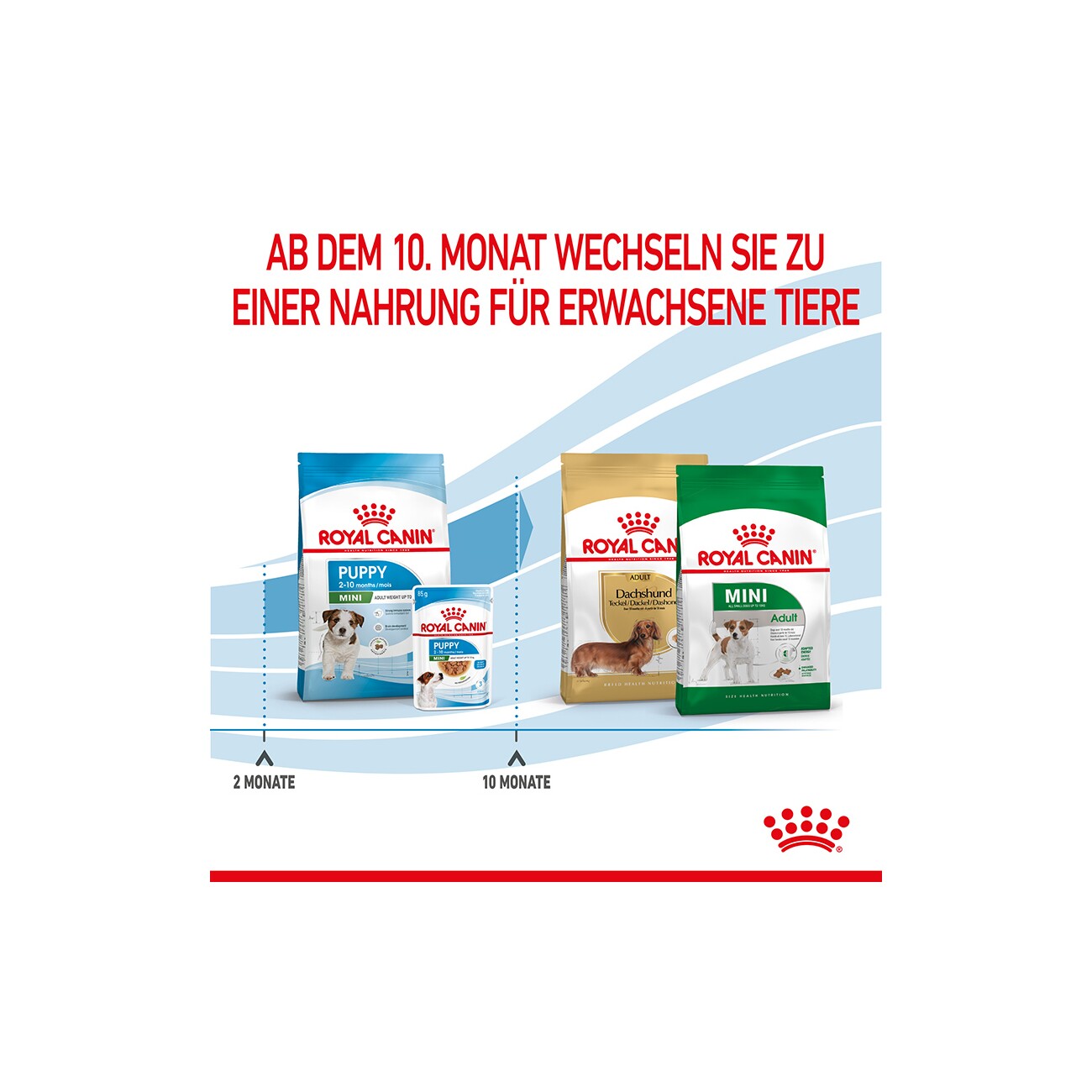 ROYAL CANIN Mini Puppy 2 kg