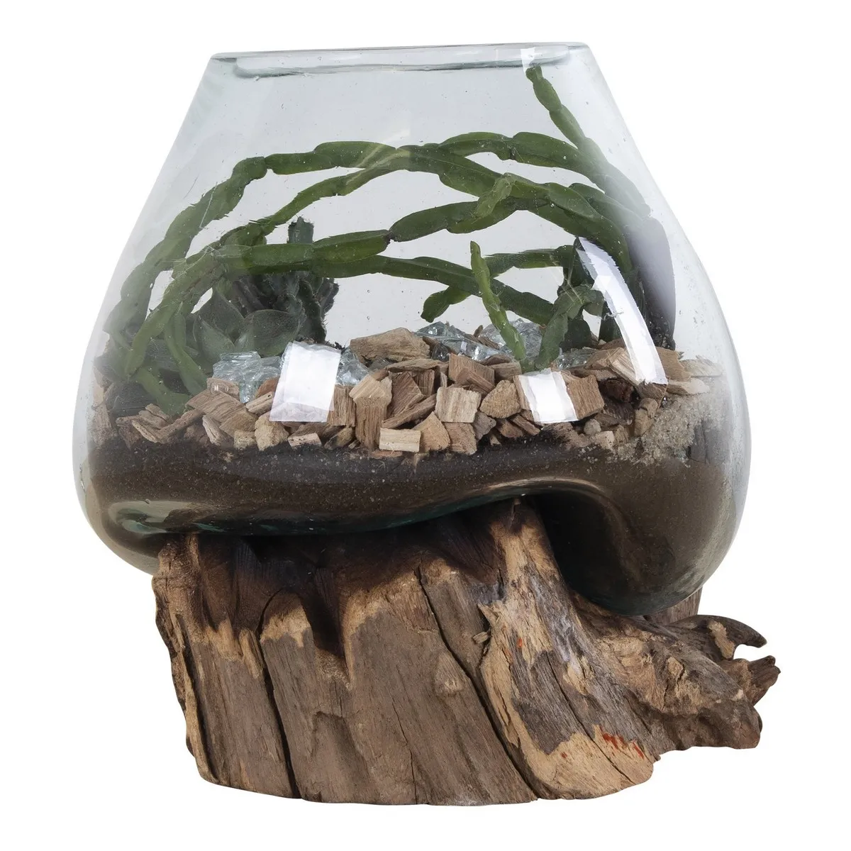 Epikasa Terrarium San Marron