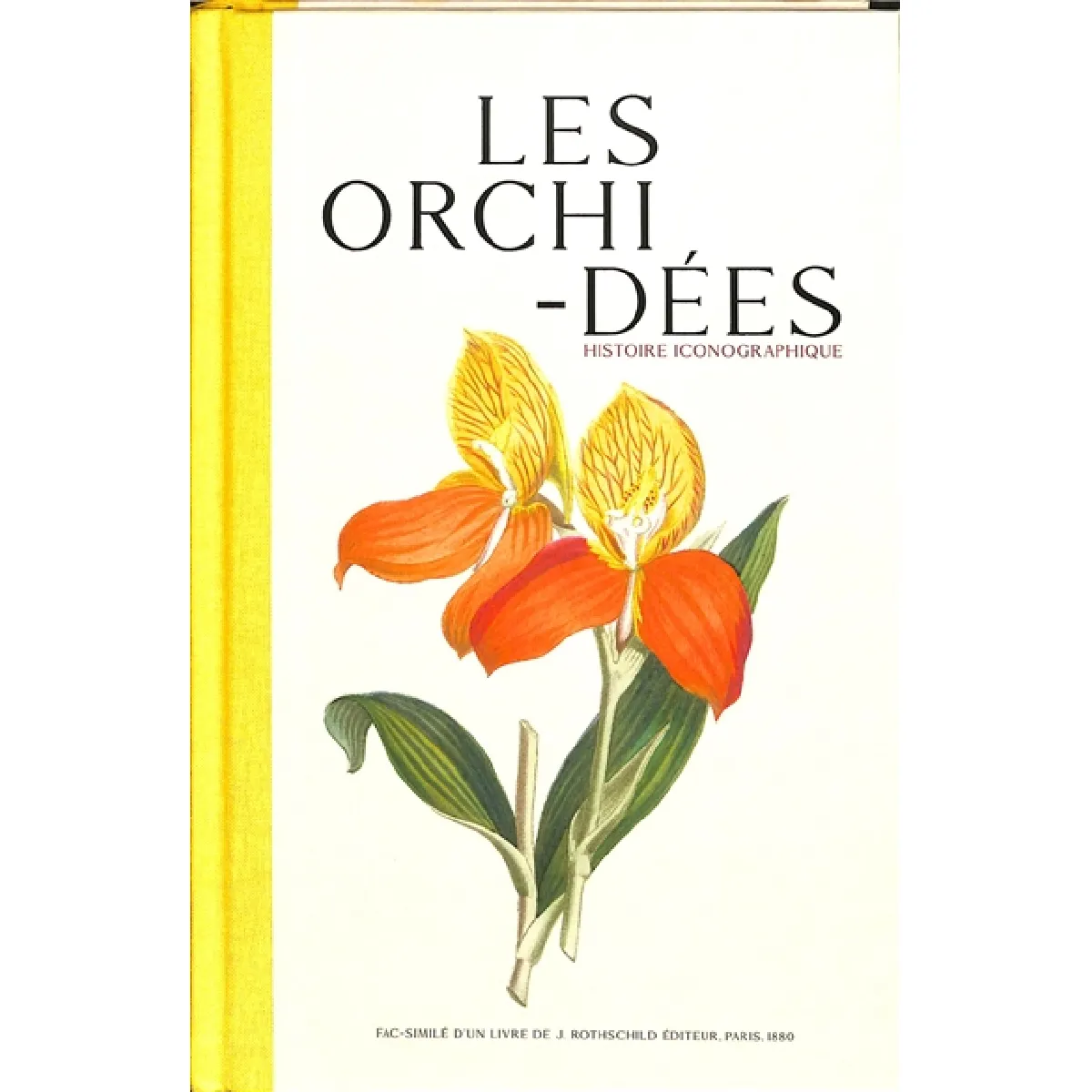 Les orchidées : histoire iconographique : organographie, classification, géographie, collections, commerce, emploi, culture, avec une revue descriptive des espèces cultivées en Europe