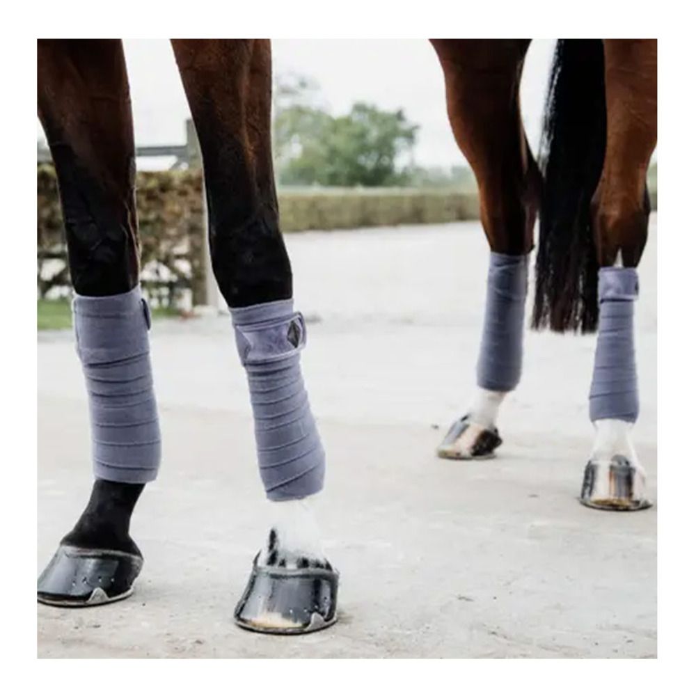 Kentucky VELVET - Bandes de polo x4 x4 violet