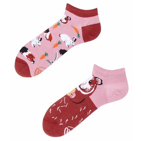 Many Mornings Socken Miss Guinea Pig Low 39-42