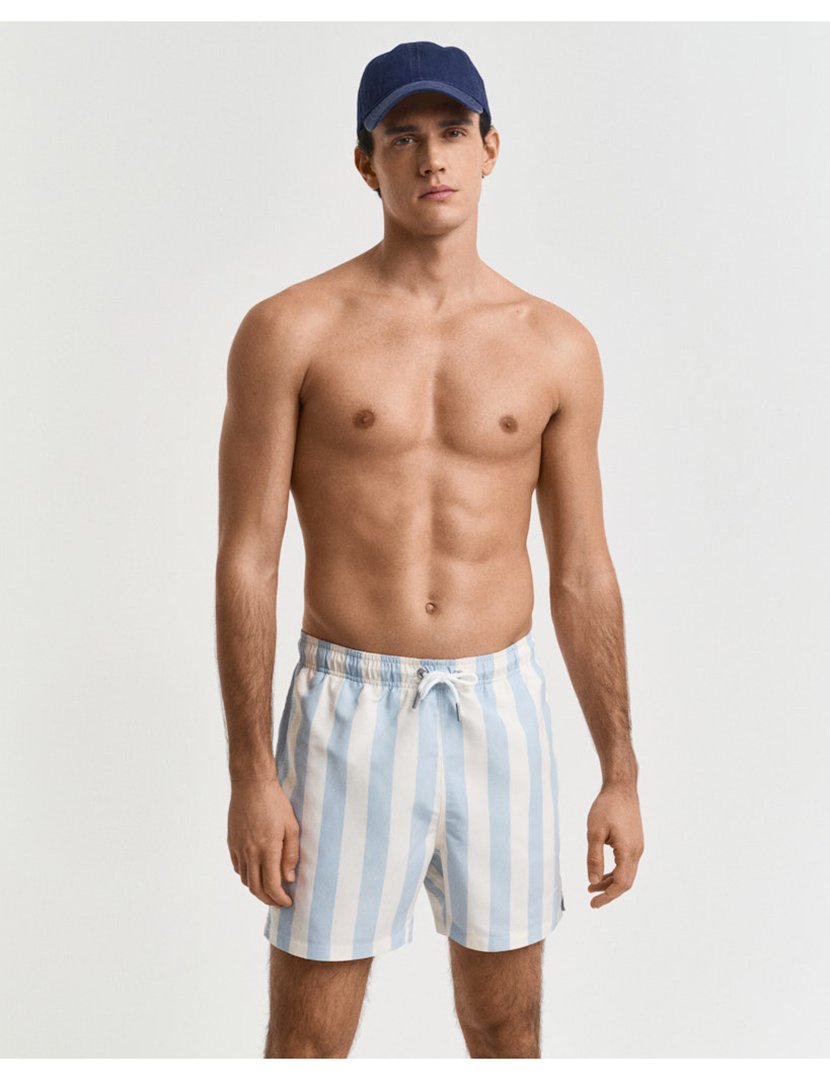 Blue Striped Swim Shorts