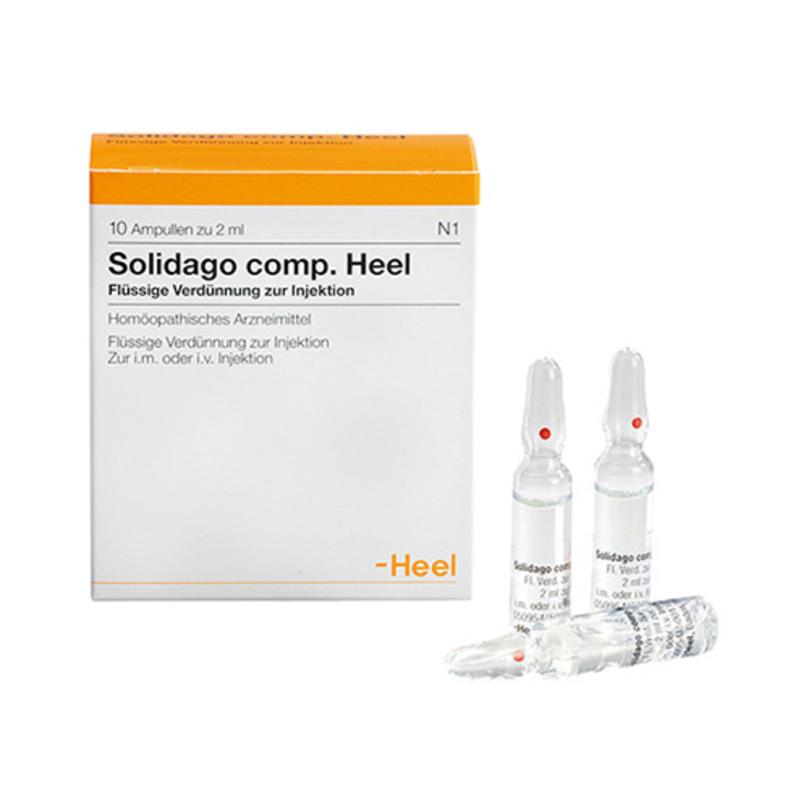 Solidago comp. Heel Ampullen, 10 St