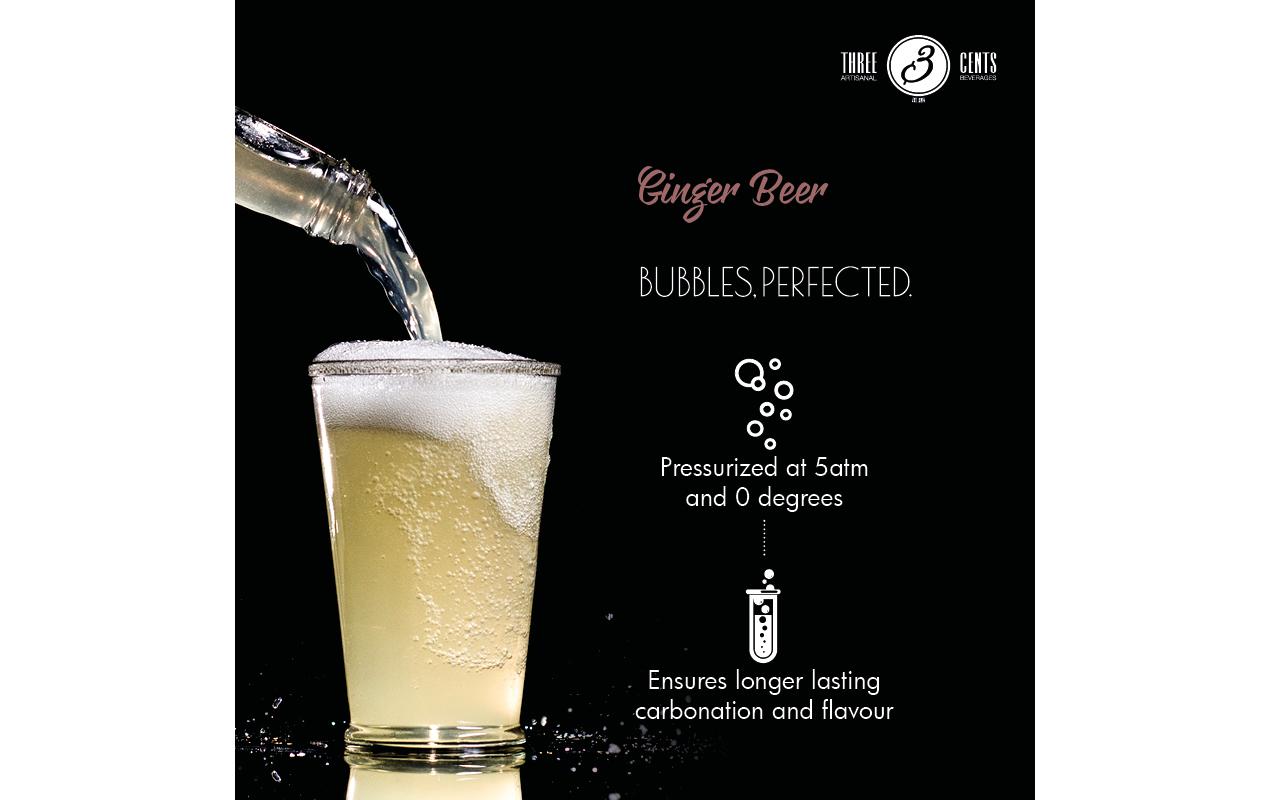 Soft-Drinks Ginger Beer 6 x 0.2 lErfrischungsgetränk mit Ingwergeschmack