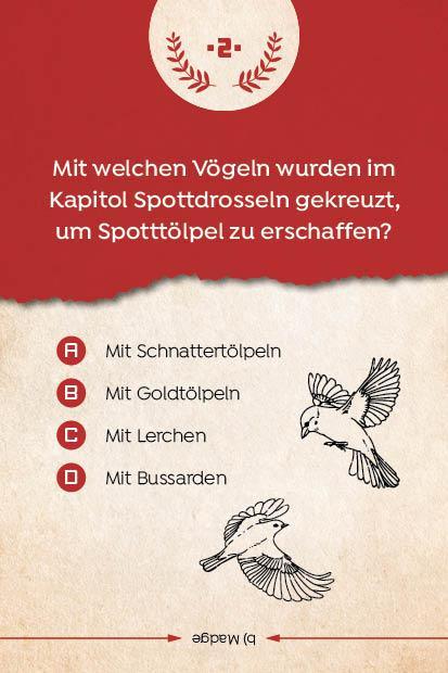 Kartenspiel: Das inoffizielle Quiz für Tribute von Panem-Fans