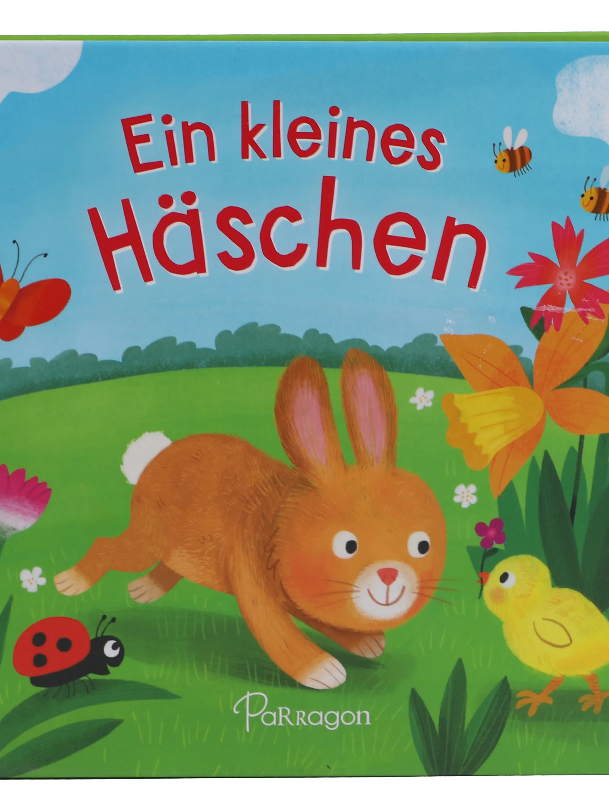 Kinderbuch 