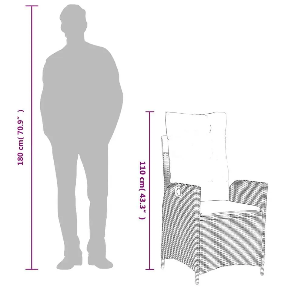 vidaXL - Verstelbare tuinstoelen met kussens - Zwart - Poly rattan - 2 stuks