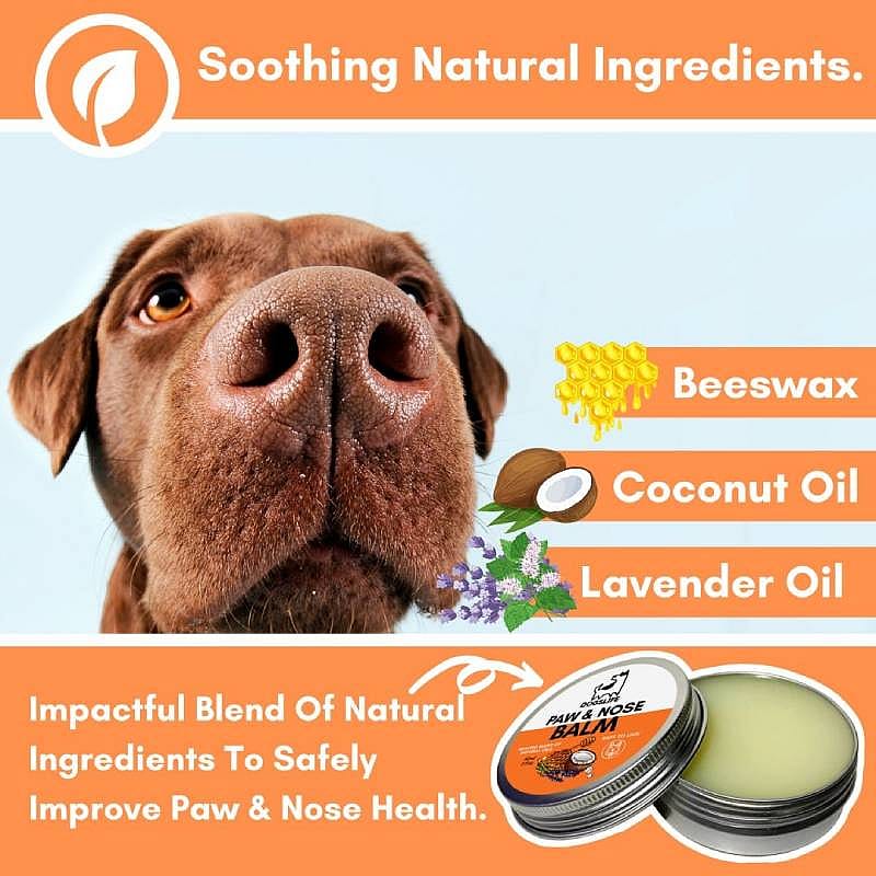 DogsLife Paw & Nose Balm Hond 60 ml | 12991