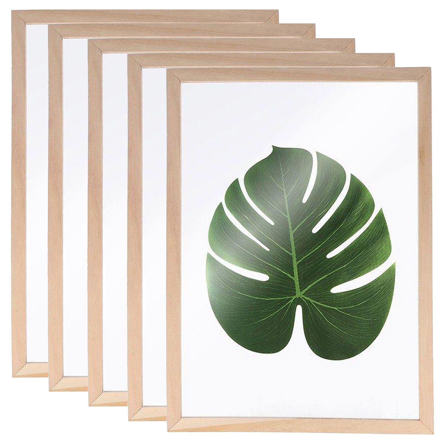 5 cadres en bois pour herbier a4