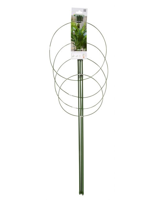 Nature Plantensteun Set 4 Ringen En 3 Steunen - Klim-En Geleide Artikel - 29.5x29.5x90 cm Groen per stuk