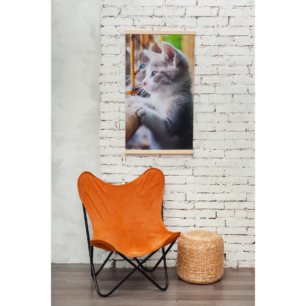 Trio Chat 100x57cm
