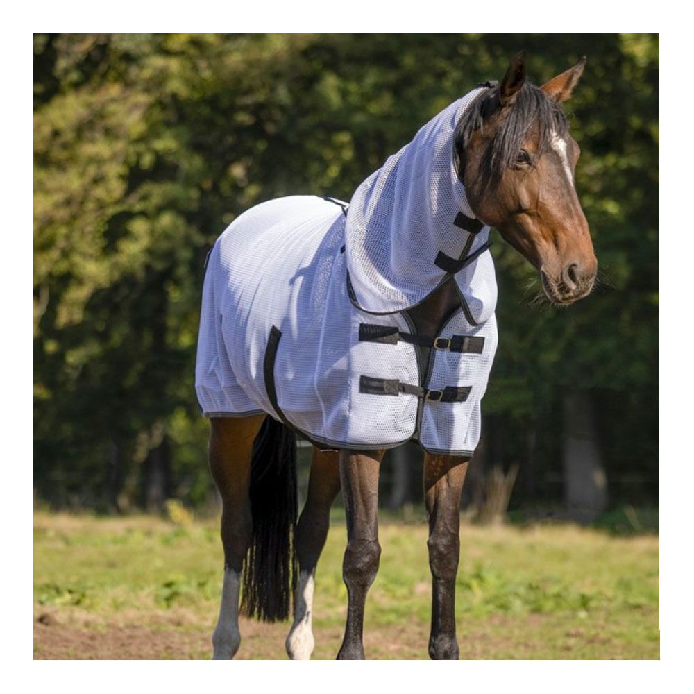 Equitheme 3D MESH - Chemise anti-insectes blanc