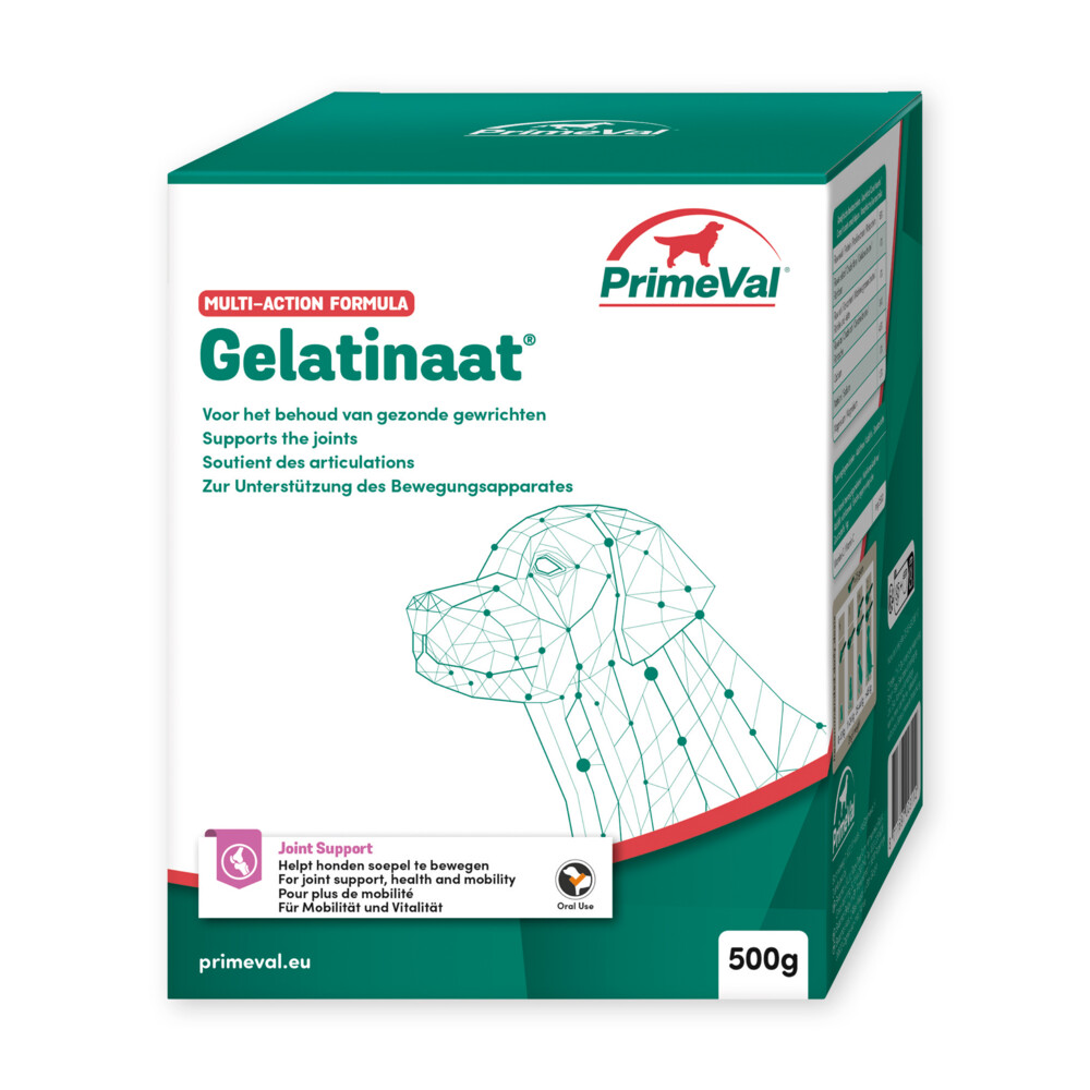 PrimeVal Gelatinaat Gewrichten Hond500 gr