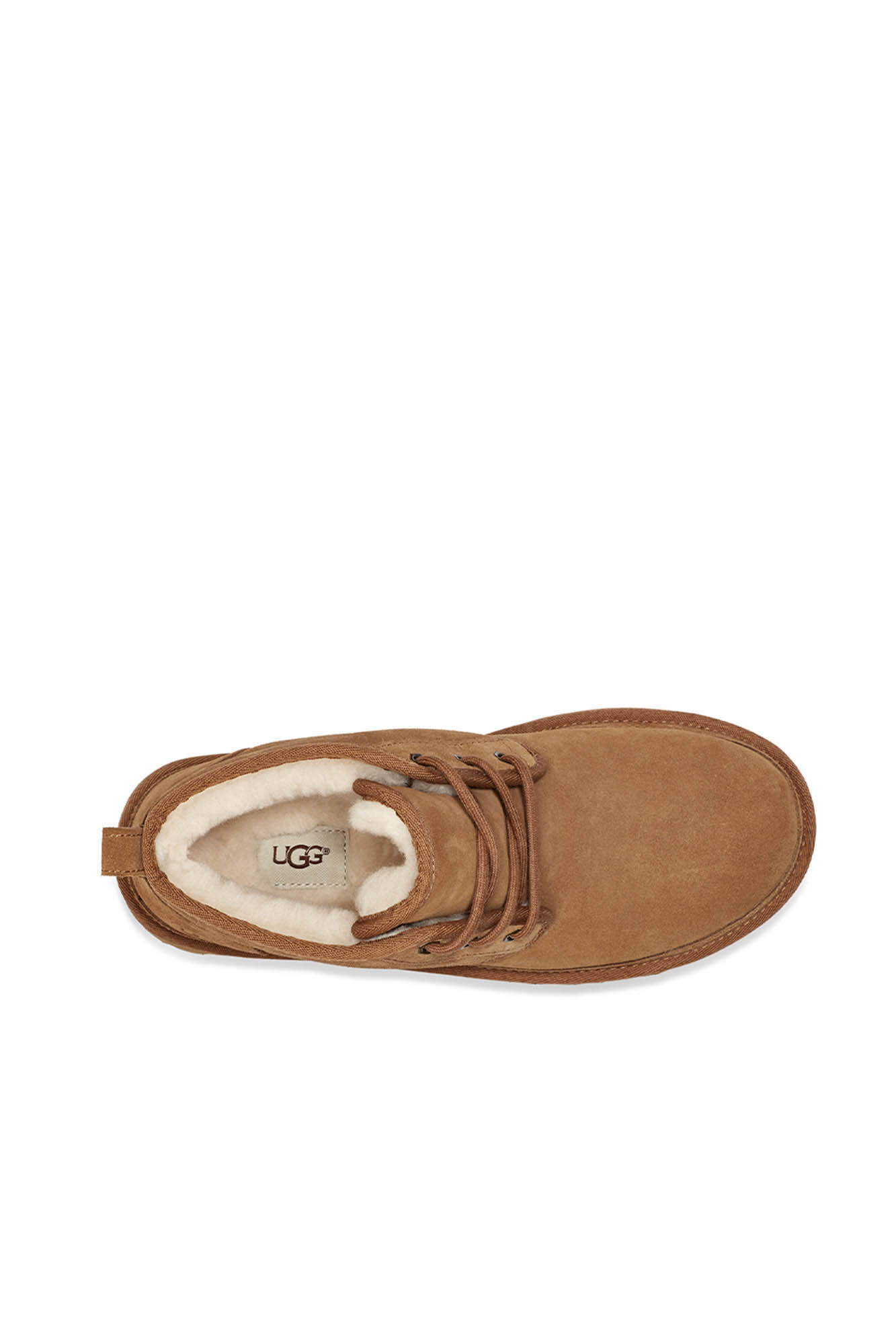 Bota chukka camurça Neumel. Marca UGG - Marron