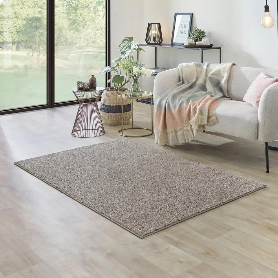 Carpet Studio Ohio Vloerkleed - Beige - 115x170cm