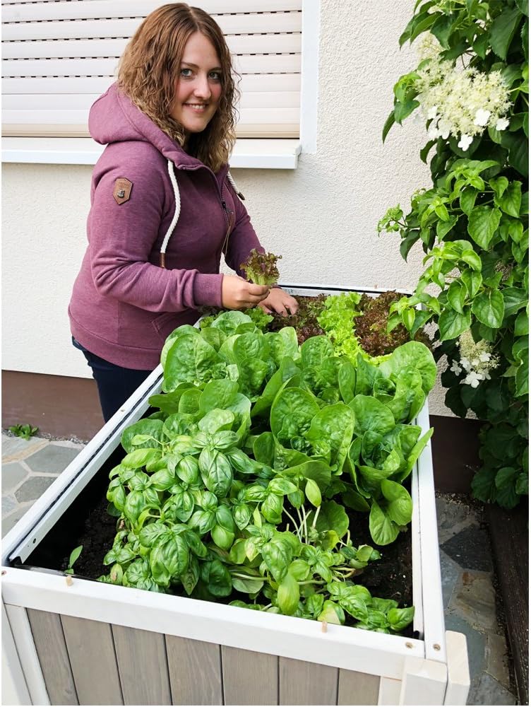 HABAU Klara Hochbeet, weiß/grau