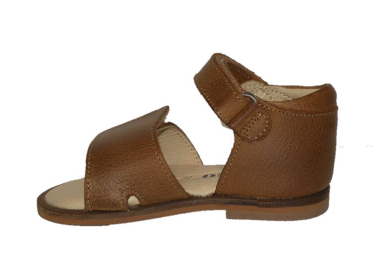 Gattino G1855 Cognac