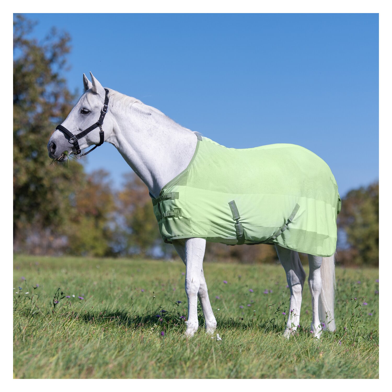 Horse-friends Fliegendecke Sintra  - lightgreen