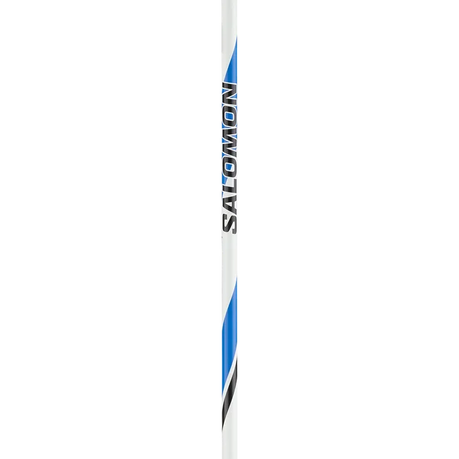 R 20  Bâtons de ski nordique classique/skating unisexe
