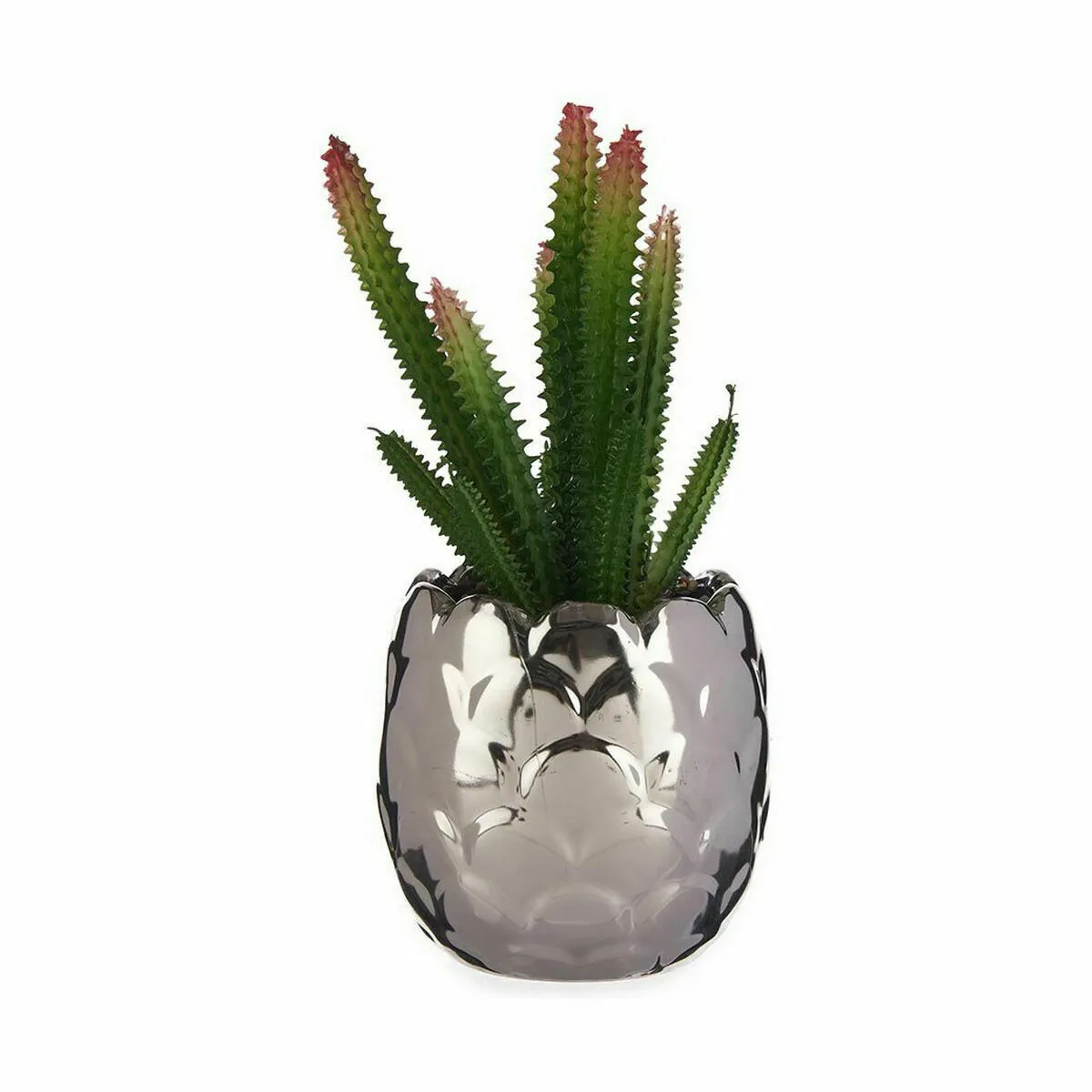 Ibergarden Cactus 10 x 20 x 10 cm (6 Unités)
