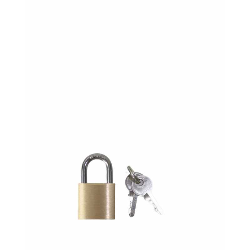 Cadenas à clé doré