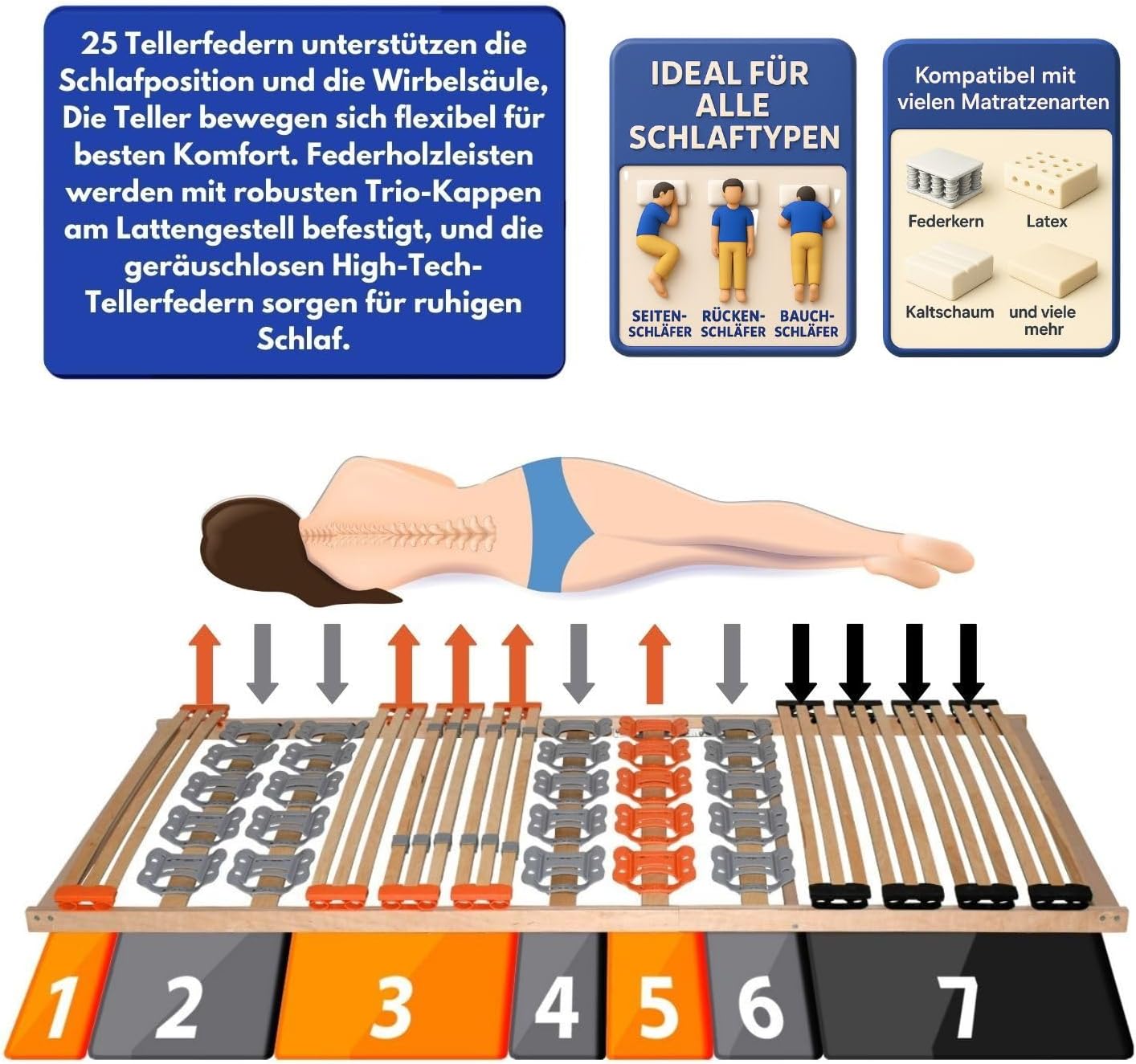 7-Zonen-Federholzleisten-Tellerlattenrost KombiFlex 140 x 200 cm hochflexible Teller für optimale Körperanpassung am Bett, Lattenrahmen Made in EU - Lattenrost starr