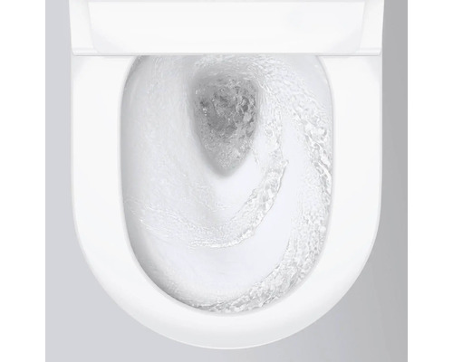 GROHE Sensia douche-wc-set, randloos, met hygiënedouche, glanzend wit met coating, inclusief toiletzitting 36509SH0