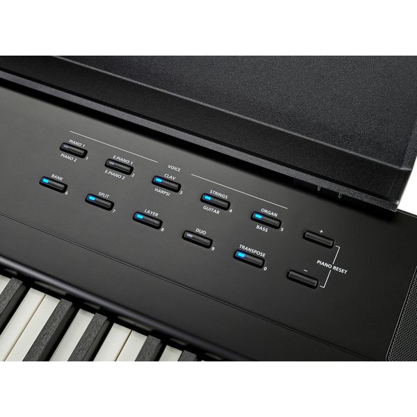 Kurzweil KaE1-LB