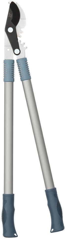 Intratuin premium takkenschaar aluminium blauw/zilver