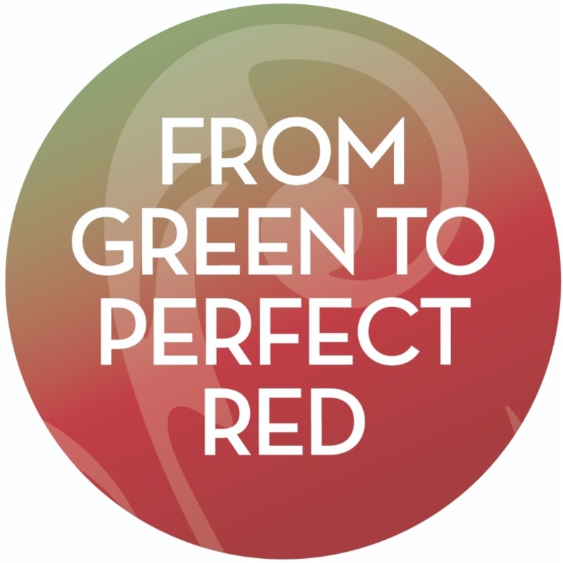 Real Rebel Colour Perfect Luxury Lip Balm 3,6 gr.