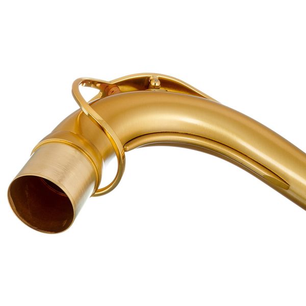 Selmer S-Neck Tenor Supreme Matt