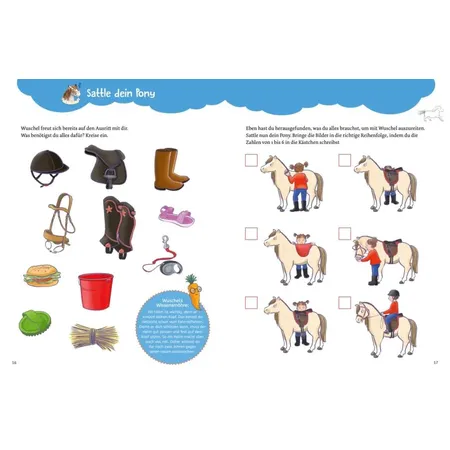 Carlsen Verlag Mein Pony-Mitmachbuch