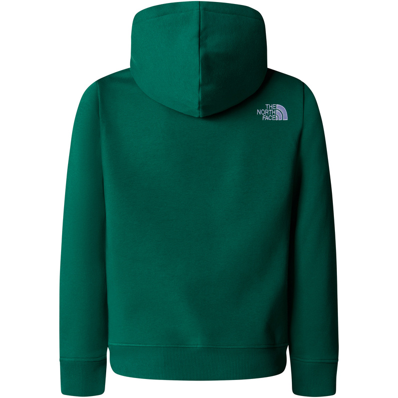 The North Face Kinder Boys Drew Peak Hoodie