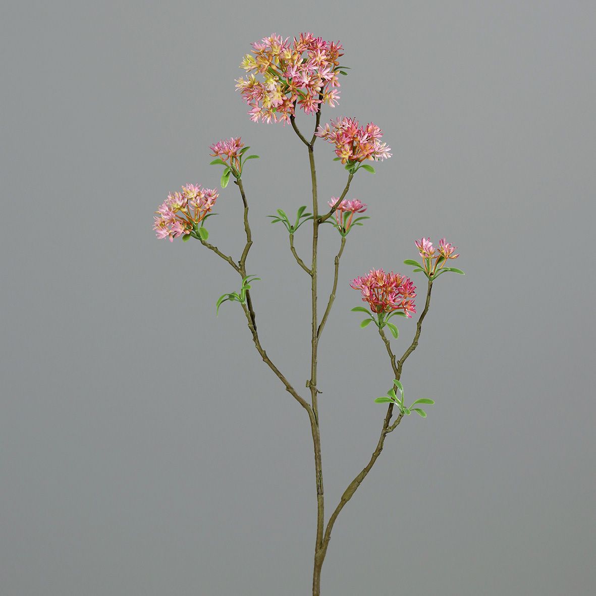 Kunstblume Bowardienzweig