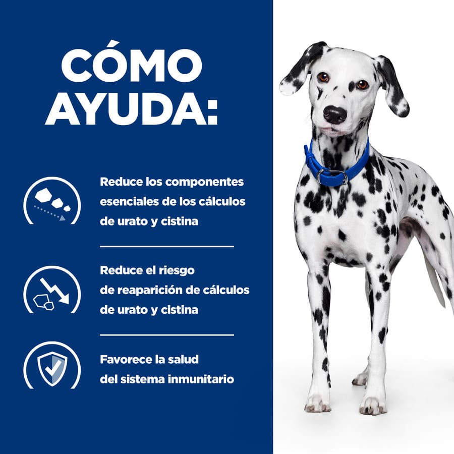 Hill's Prescription Diet Urinary Care u/d pia para cães
