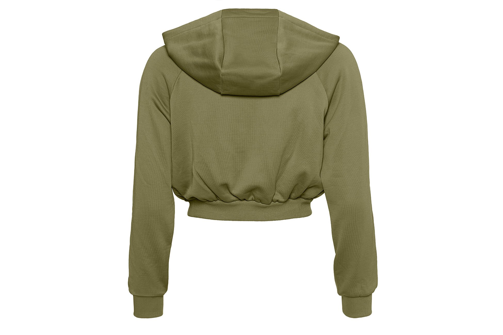 Ese Sweatshirt SALICORNE