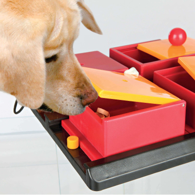 Trixie Dog Activity Strategiespiel Poker Box 1