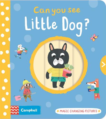 Can You See Little Dog: Magic changing pictures - Can You See (Board book)