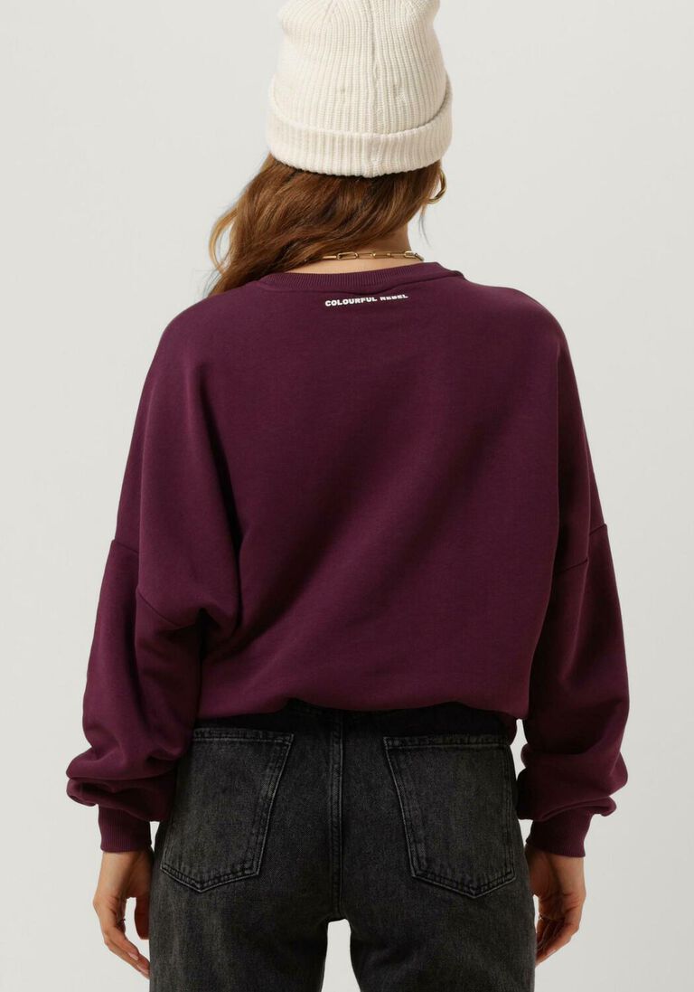 COLOURFUL REBEL bordeaux colourful rebel trui starlight patch dropped shoulder sweat