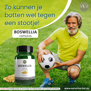 Vanan Boswellia Capsules 60CP