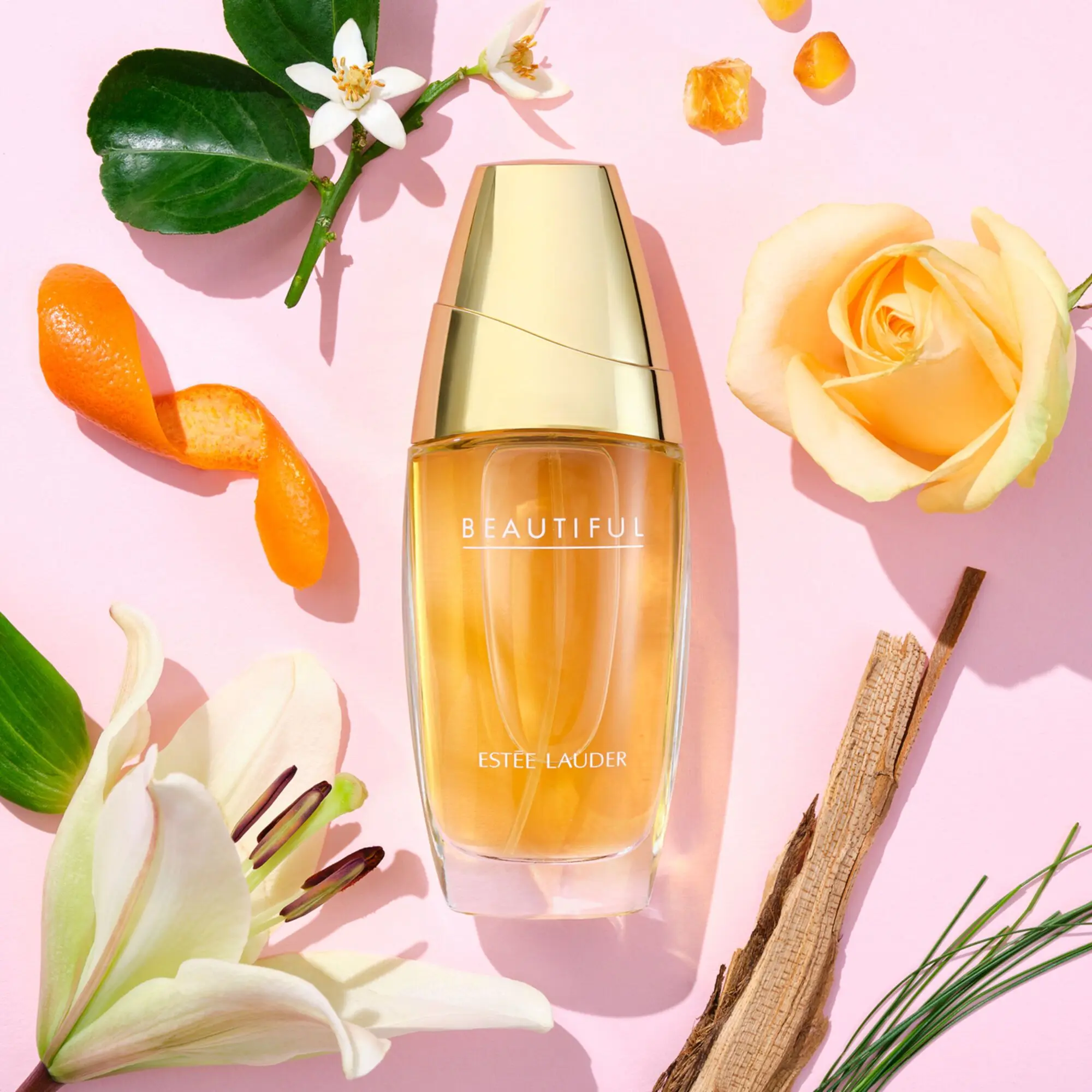 Estée Lauder - Beautiful Eau de Parfum- Eau de parfum