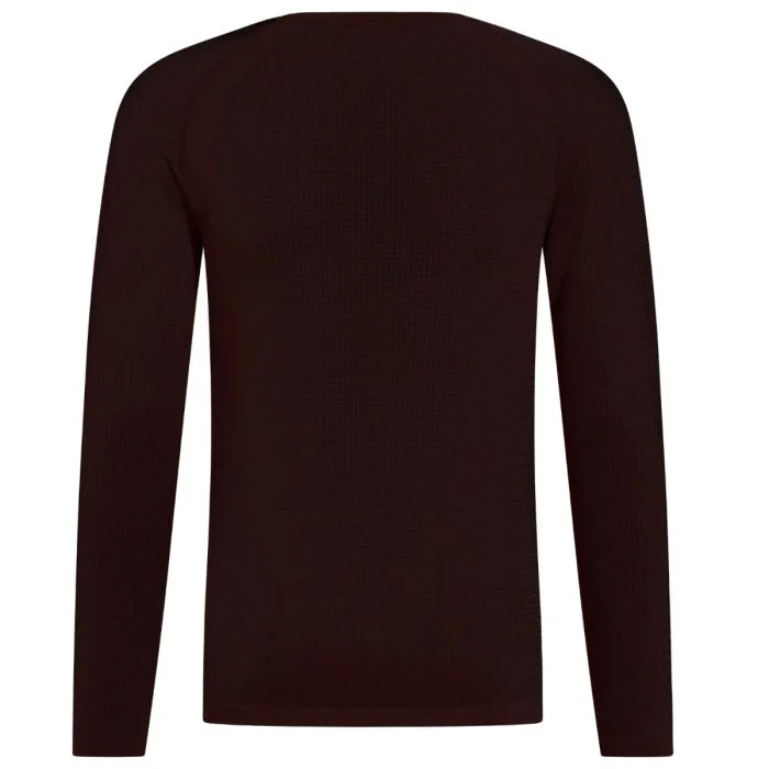 Odlo Herre T-shirts Performance Warm Eco BL Top Crew Neck L/S Brun