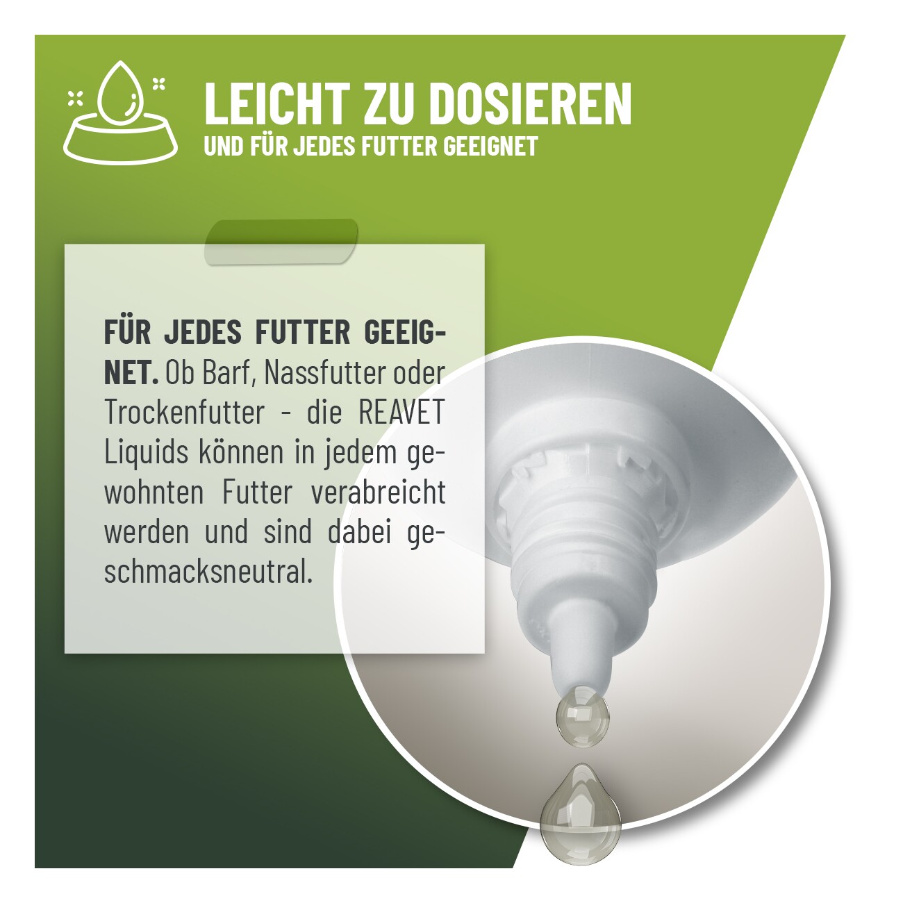 REAVET Hustensaft Tropfen Katzen 50ml