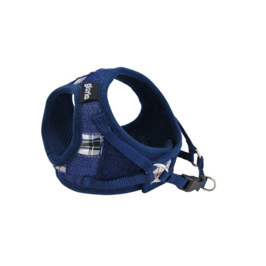 Coleira azul para cães Gloria Jeans