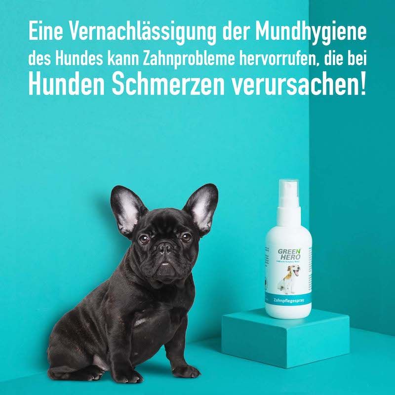 GreenHero Zahnpflegespray