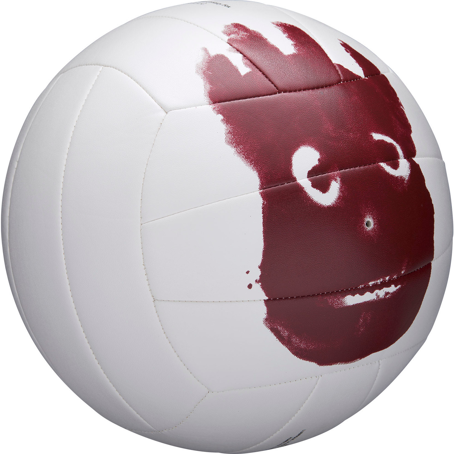 Wilson Castaway Beach