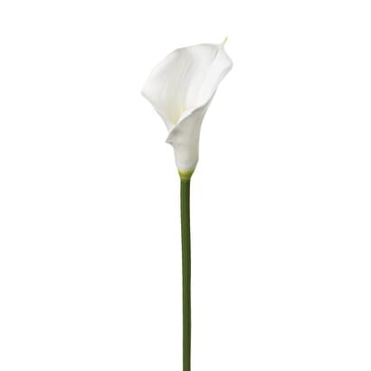 Tige d'arum artificiel Blanc, H.75 cm