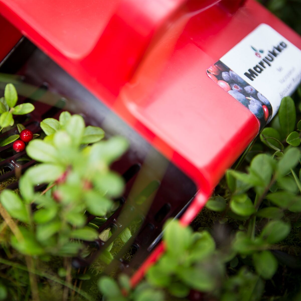 Basic bærplukker med plastgitter